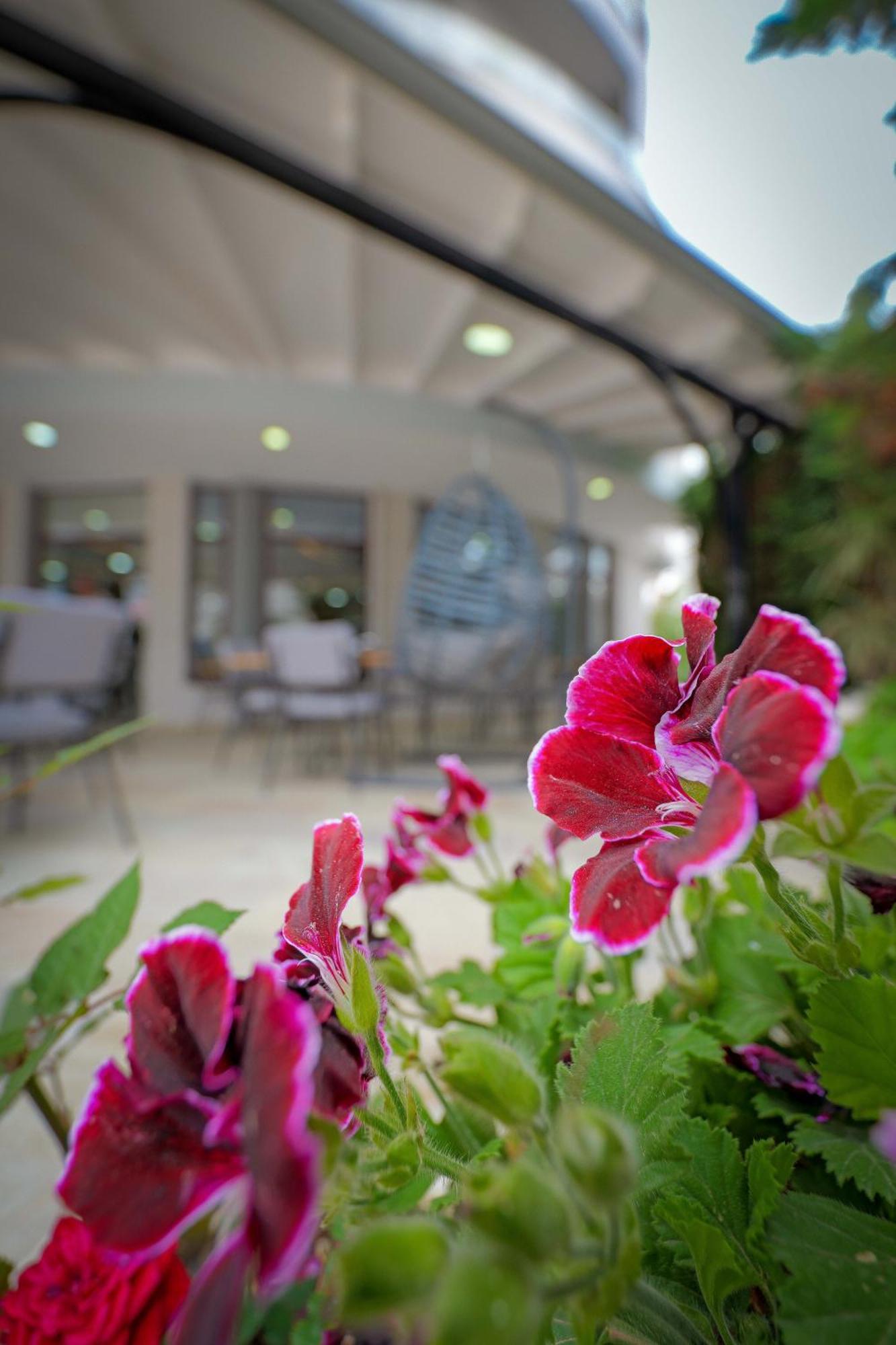 Hotel Kroi คซามิล ภายนอก รูปภาพ